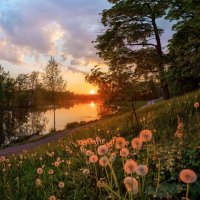 Летний вечер :: Фёдор. Лашков