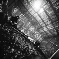 *** :: Сергей Криволапов