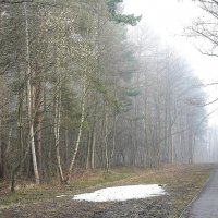 Последний снег :: Татьяна Тюменка