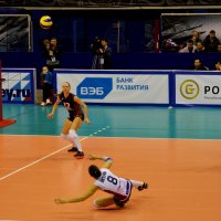 На волейболе :: Savayr На волейболе :: Savayr