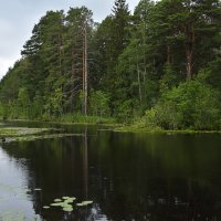Природа :: Валерий Пославский