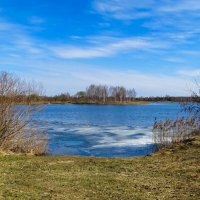 Апрель на Смоленщине. :: Милешкин Владимир Алексеевич Апрель на Смоленщине. :: Милешкин Владимир Алексеевич