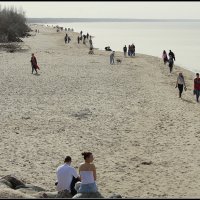 *** :: Aleksandr Gal