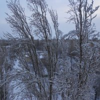 холодно :: Елена Шаламова холодно :: Елена Шаламова