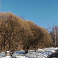 *** :: Валентина Береснева