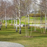 В парке Зарядье :: Татьяна Тюменка