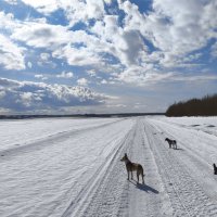В дальний путь :: Anna Ivanova