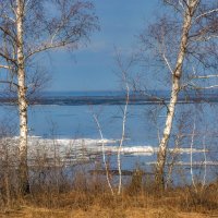 Верю я, что кроме суеты на земле есть мир очарованья... :: Наталья Димова