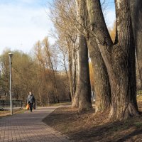 Прогулки в Весеннем Парке :: юрий поляков