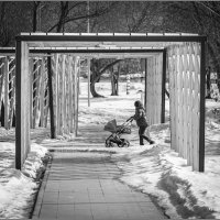 В плену структур. :: Михаил Кобзев