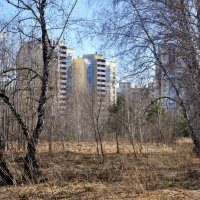 Весна идет.... :: Анатолий Анищик