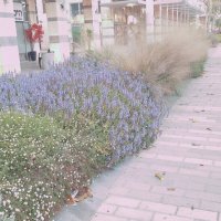 14  КЛОС (114) :: CLOSE WAYS ALL