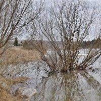 - :: Владимир Мигонькин