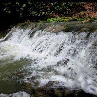 ОРЕХОВКА :: Tata Wolf