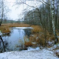 Начало зимы. :: delete (id213252) 