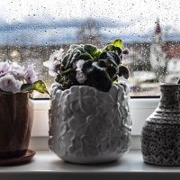 А за окном и дождь и .... :: Николай 