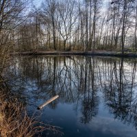 Из январского... :: Николай Гирш