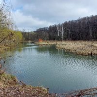 Весна. :: Владимир Безбородов Весна. :: Владимир Безбородов