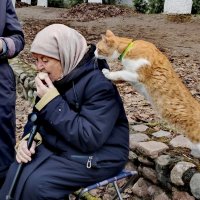 и мне ведь хочется... :: Любовь и мне ведь хочется... :: Любовь