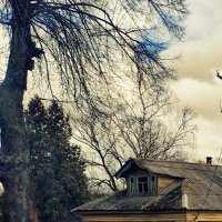 похолодало :: Любовь похолодало :: Любовь