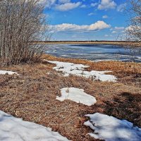 Весна на протоке Чеускина! :: Владимир 