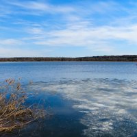 Весна в начале апреля. :: Милешкин Владимир Алексеевич 