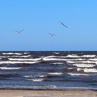 весенние зарисовки :: ИННА ПОРОХОВА