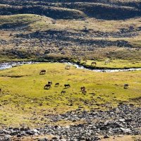 Долина :: Виктор Фоменко