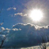 Крокодил солнце проглотил... почти... :: Светлана 