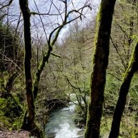 ОРЕХОВКА :: Tata Wolf