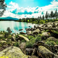 МАЛОУЛЬБИНСКОЕ ВОДОХРАНИЛИЩЕ :: HART BAD