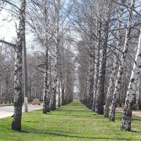 апрель :: Венера Чуйкова