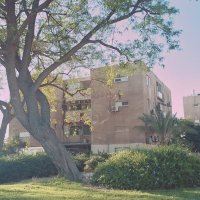 14  КЛОС (118) :: CLOSE WAYS ALL