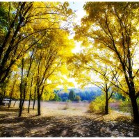 parc :: Serghei Bucico