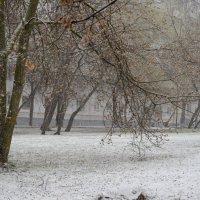 Апрельские шутки погоды. :: Николай 