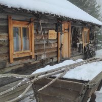 Сельское подворье :: Татьяна Лютаева Сельское подворье :: Татьяна Лютаева