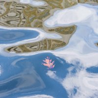 Отражение в воде :: Валерий Иванович