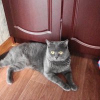 я тут по-хозяйству... :: Галина Флора