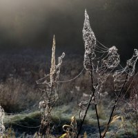 Царицыно 2 октября :: Михаил Бибичков