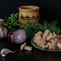 Грибочки :: Георгий Кулаковский