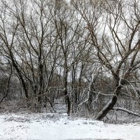 Апрель :: Михаил Столяров