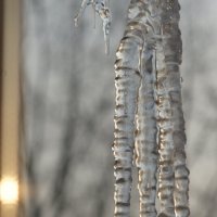 Последние сосульки :: Наталия Григорьева