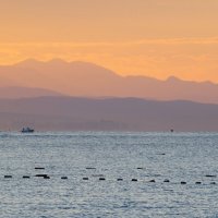 На восходе :: svk *