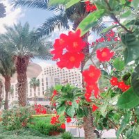 14  КЛОС (125) :: CLOSE WAYS ALL