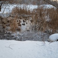 Утиная запруда зимой :: Александр Синдерёв
