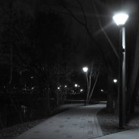 Весенний Вечер в Городе :: юрий поляков