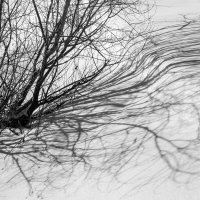 Мартовске тени. :: Сергей Татаринов Мартовске тени. :: Сергей Татаринов