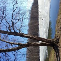 Еще недопоказанное в марте :: Андрей Лукьянов