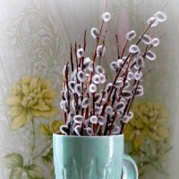 Вербочка. :: nadyasilyuk Вознюк