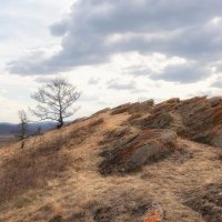 Такая разная Хакасия :: Марина Фомина.